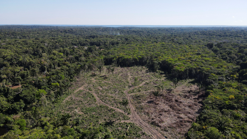 Foto av avskoging i Amazonas