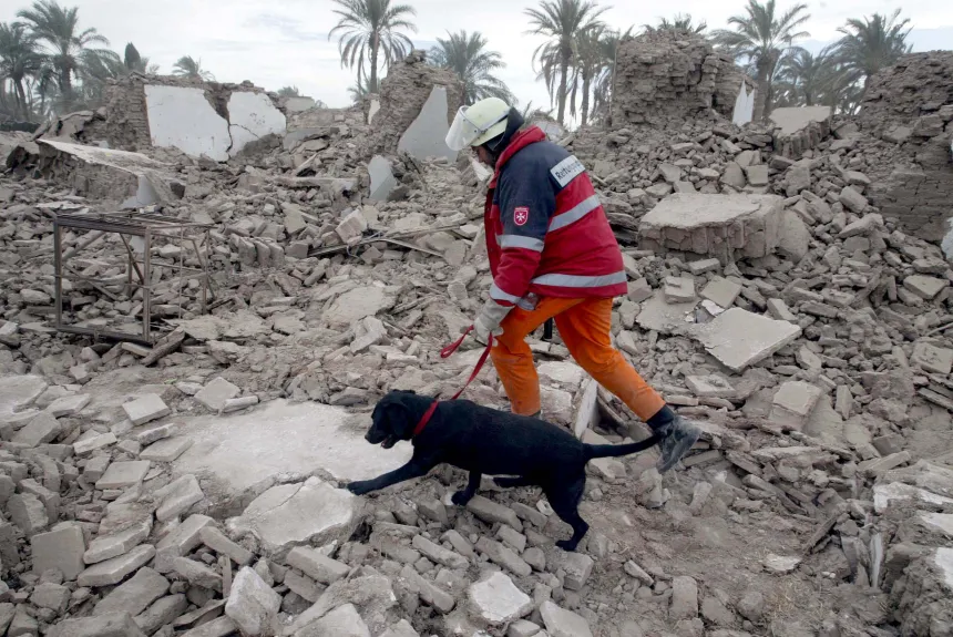 En mann og en hund leter etter overlevende etter et jordskelv