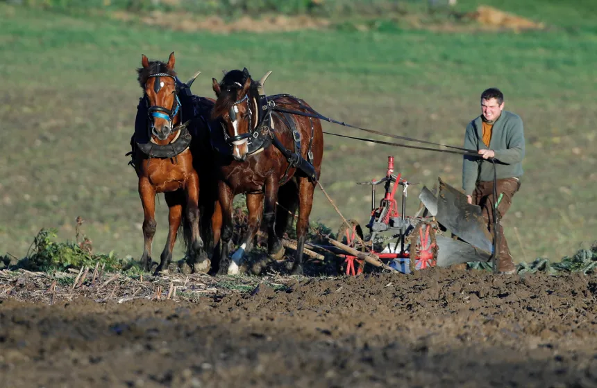 En bonde pløyer jorden ved hjelp av to hester