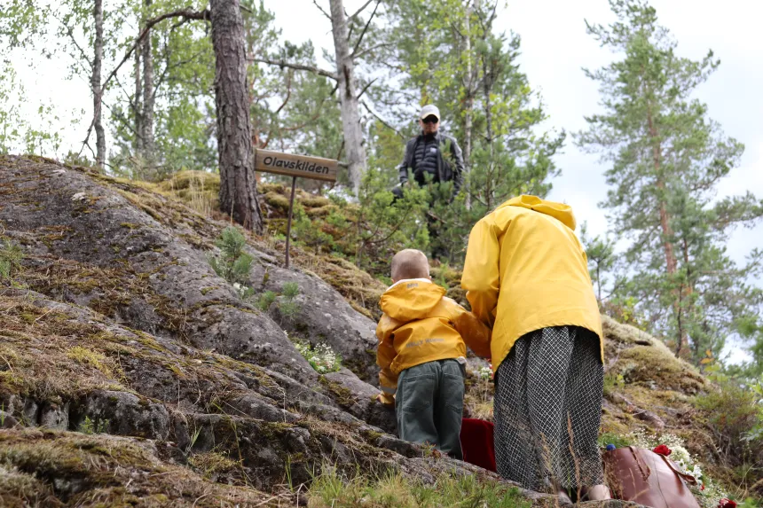 Vatnås